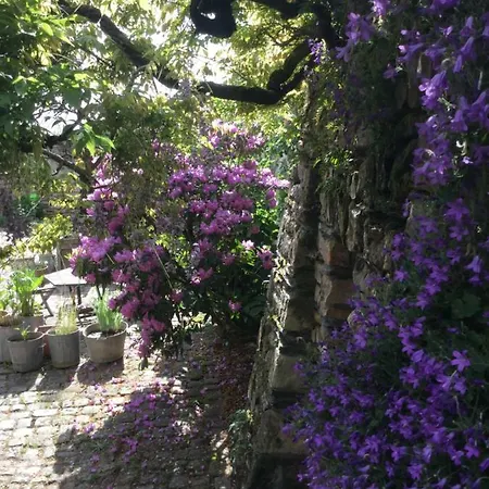 Manoir De La Groye Maison d'hôtes