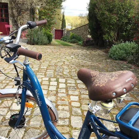 Maison d'hôtes Manoir De La Groye Saint-Saturnin-sur-Loire