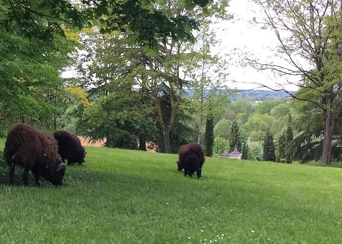 Manoir De La Groye 게스트하우스