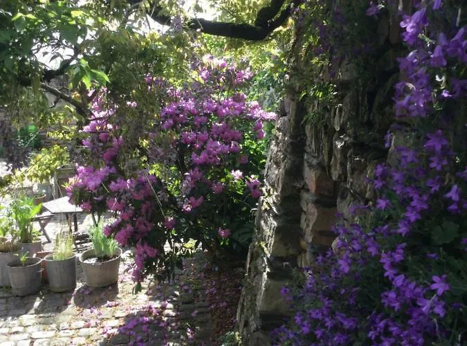 Manoir De La Groye 게스트하우스