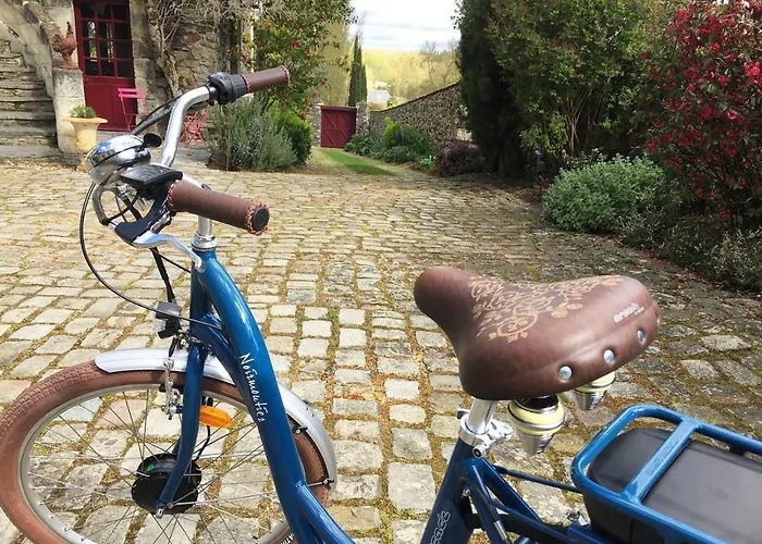 게스트하우스 Manoir De La Groye Saint-Saturnin-sur-Loire